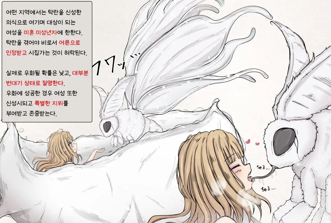 Insect Research Report EX